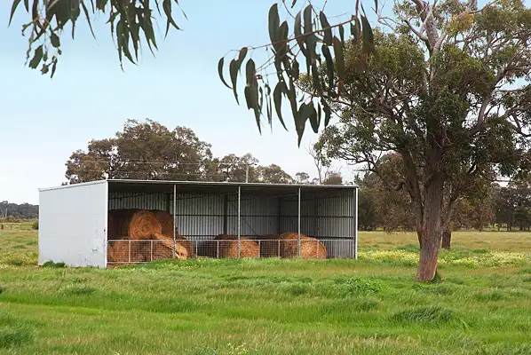 Main view of Homely rural property listing, 839 Kaloorup Road, Jindong WA 6280