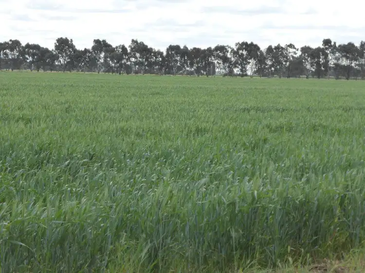 Main view of Homely rural property listing, | Kweong |, Finley NSW 2713