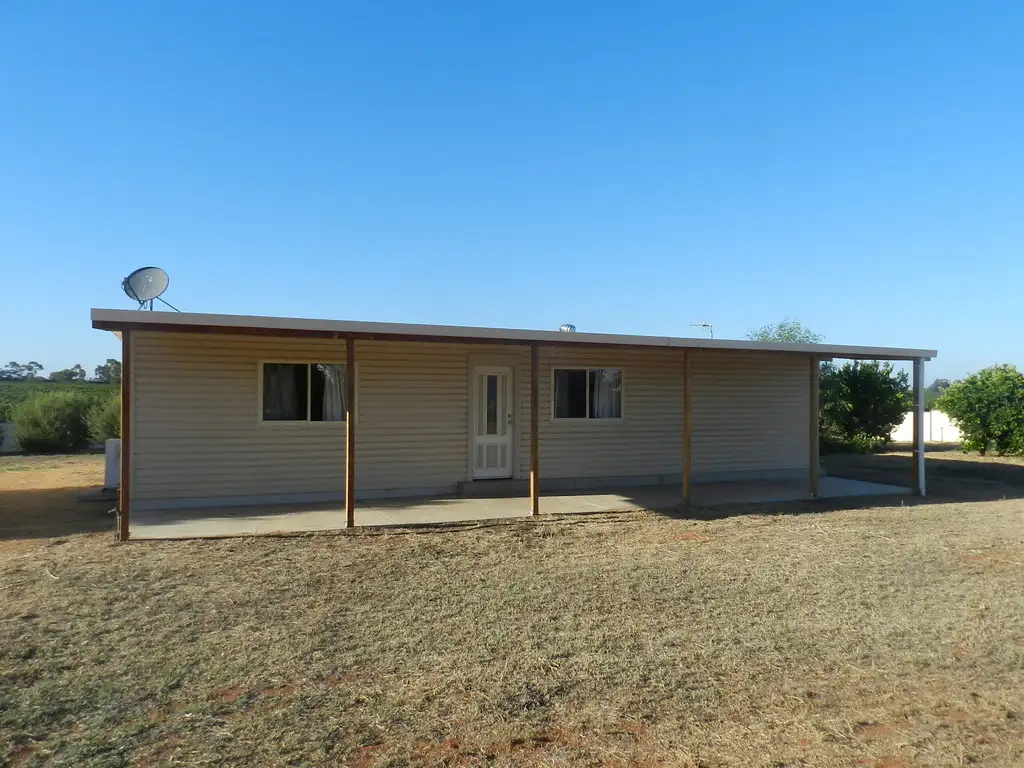 Main view of Homely house listing, 196 Hunt Road, Barmera SA 5345