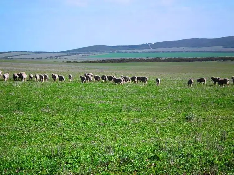 Second view of Homely rural property listing, Sections 25, 55 & 90 Hundred of Smeaton, Kielpa SA 5642