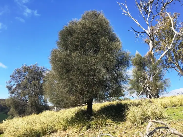 Seventh view of Homely land listing, 514 Bluff Road, Gretna TAS 7140