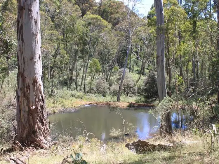 Third view of Homely rural property listing, Lot 6 Bradley's Drive, Tumbarumba NSW 2653
