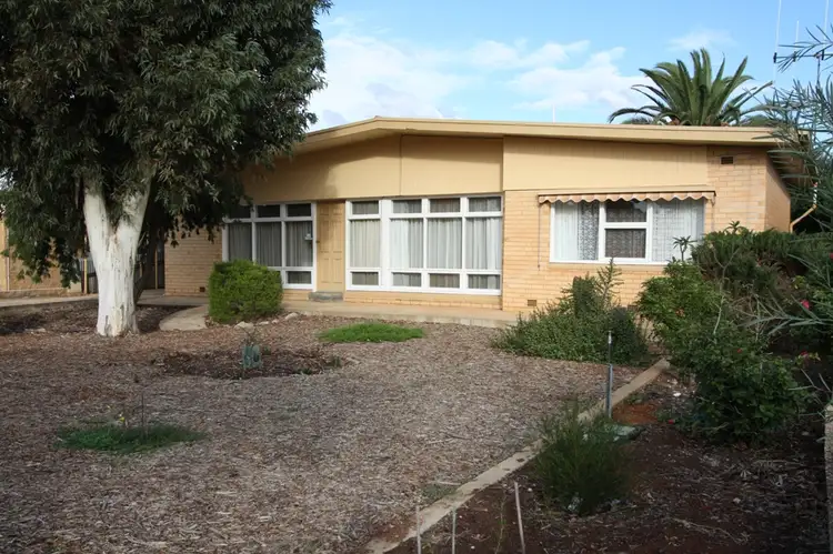 Main view of Homely house listing, 139 Bookpurnong Terrace, Loxton SA 5333