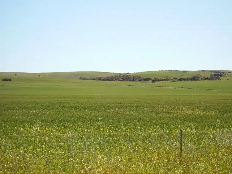 Main view of Homely land listing, Sect 281 Butler rd, Tumby Bay SA 5605
