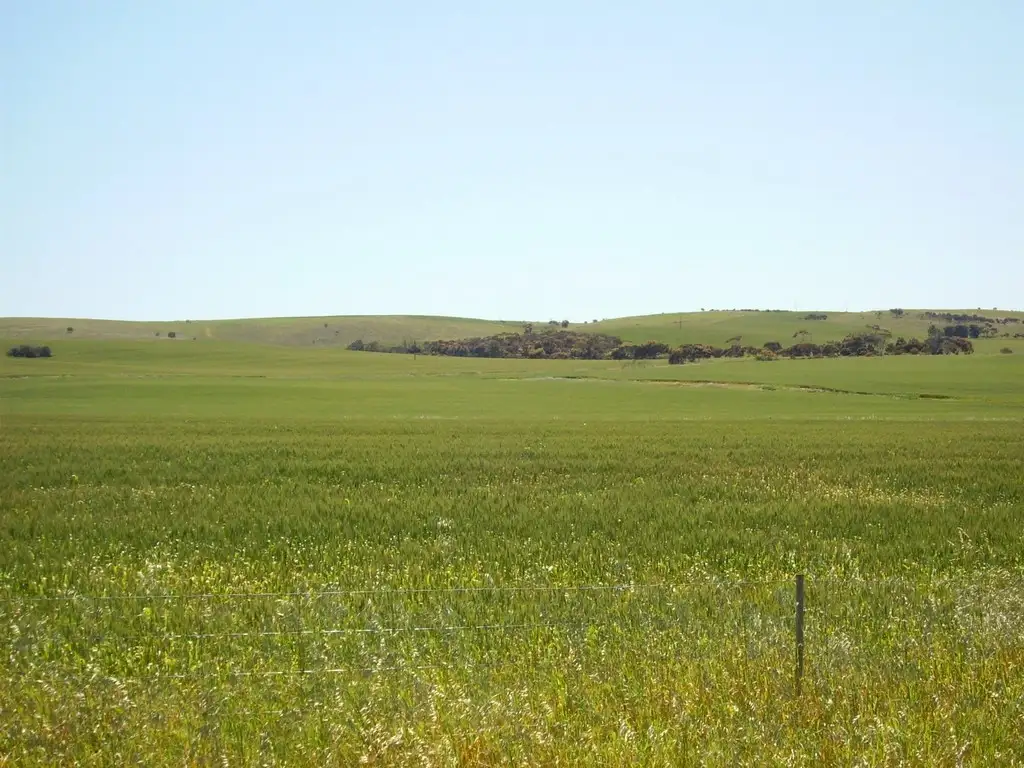 Main view of Homely land listing, Sect 281 Butler rd, Tumby Bay SA 5605