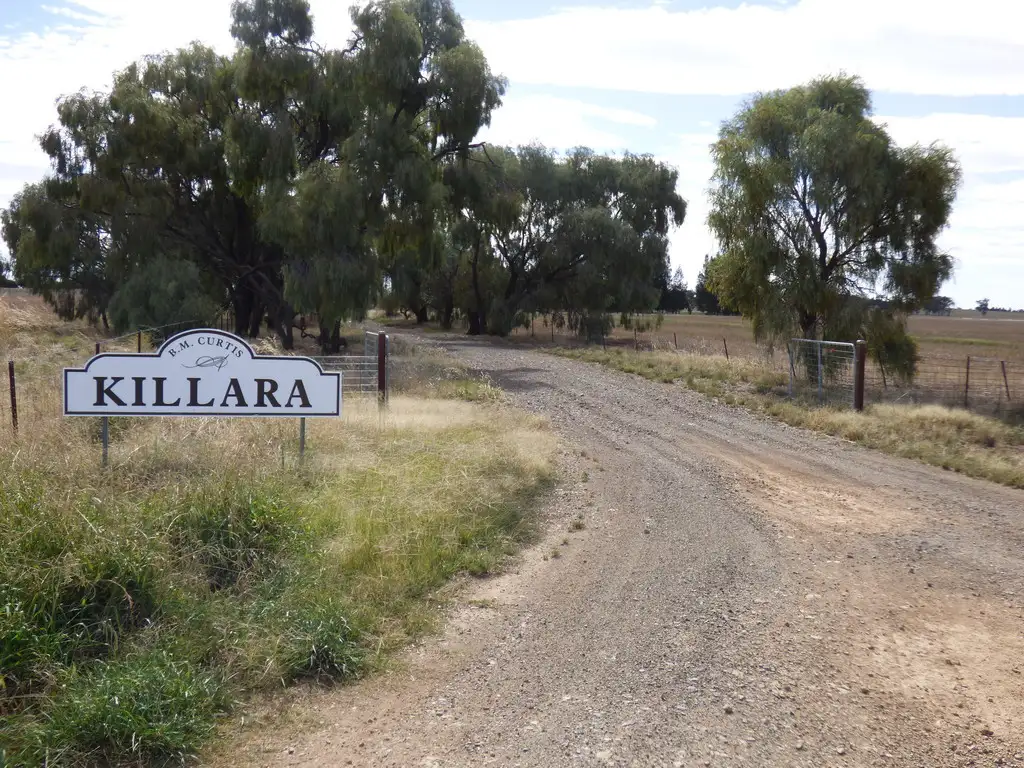 Main view of Homely rural property listing, 1075 Weedallion, Bribbaree NSW 2594