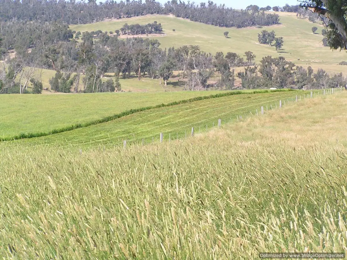Main view of Homely rural property listing, 859 Snowy River Road, Wulgulmerang VIC 3885