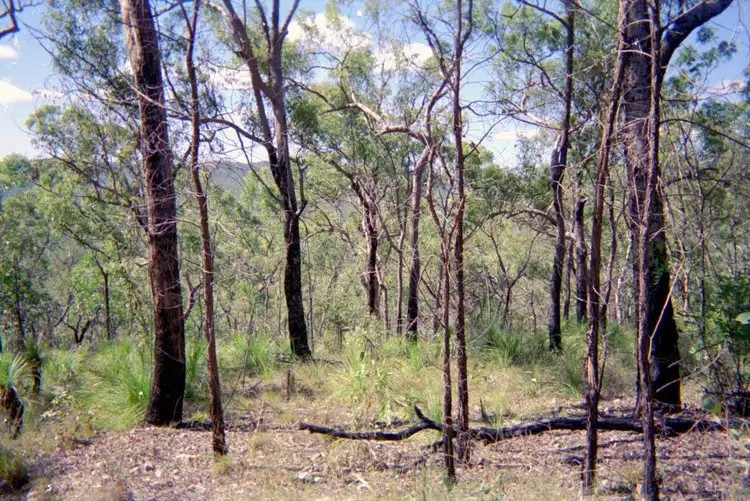 Fifth view of Homely land listing, Lot 232 Murphy Road, Captain Creek QLD 4677