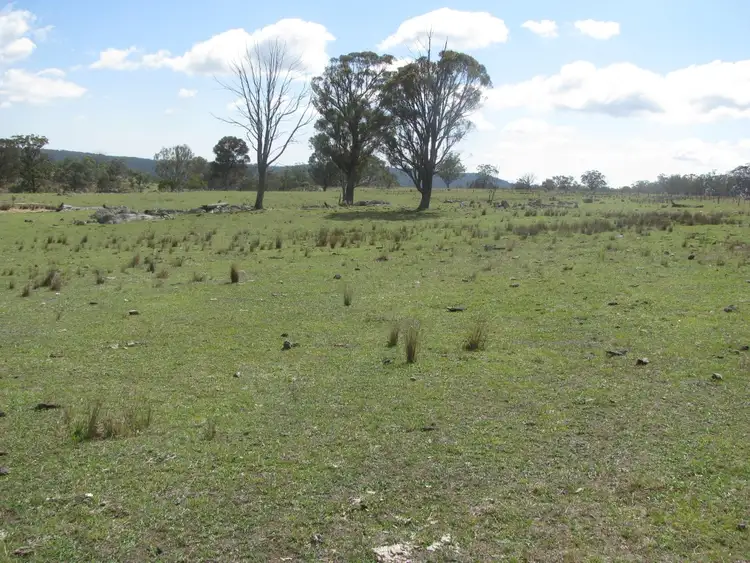 Second view of Homely rural property listing, 197 Spring Camp   road, Enmore NSW 2350