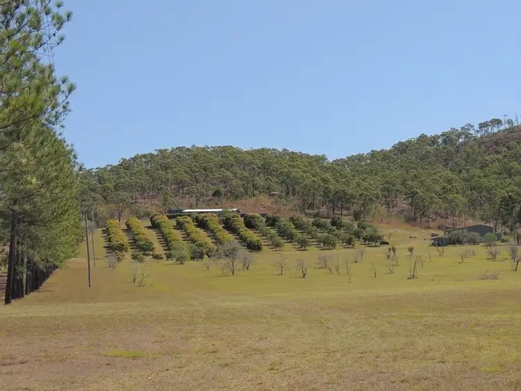 735 Calliope River Road, West Stowe QLD 4680