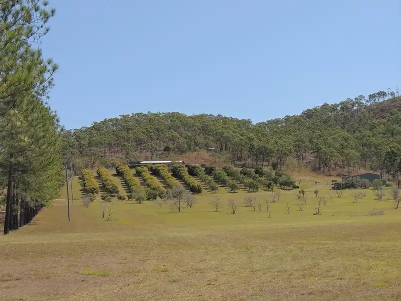 Main view of Homely house listing, 735 Calliope River Road, West Stowe QLD 4680