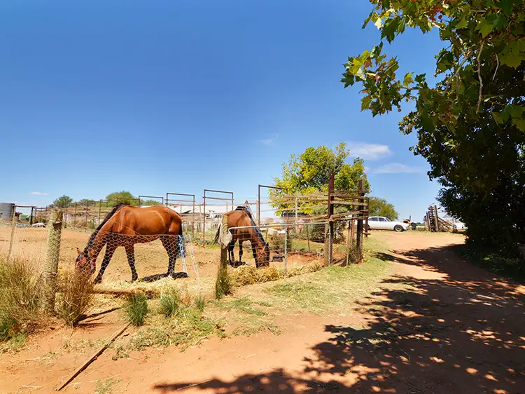 Fourth view of Homely house listing, 3 Merrijig Avenue, Red Cliffs VIC 3496