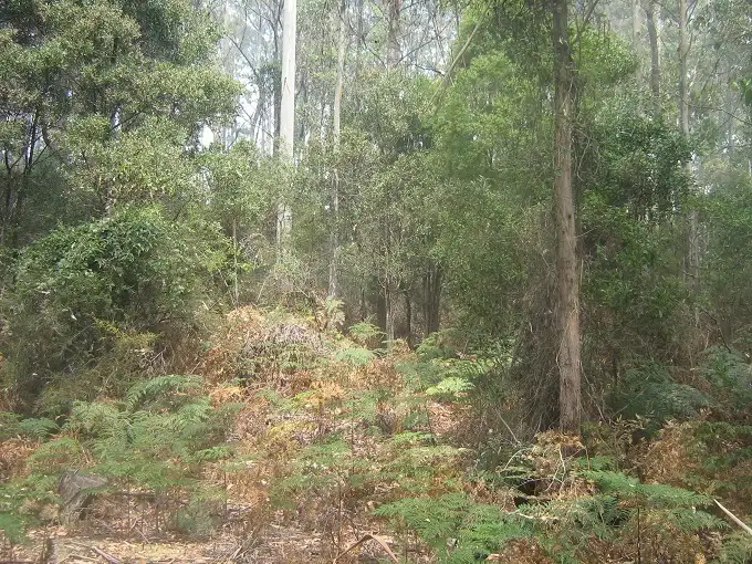 Third view of Homely rural property listing, - Douglas Road, Kindred TAS 7310