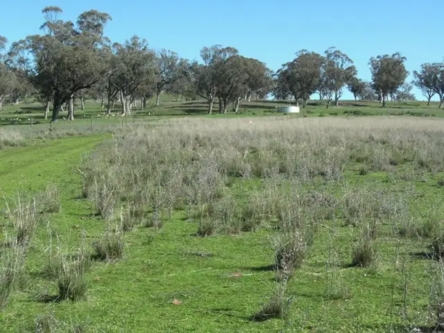 Sixth view of Homely house listing, 693 Swinging Ridges Road, Ardglen NSW 2338
