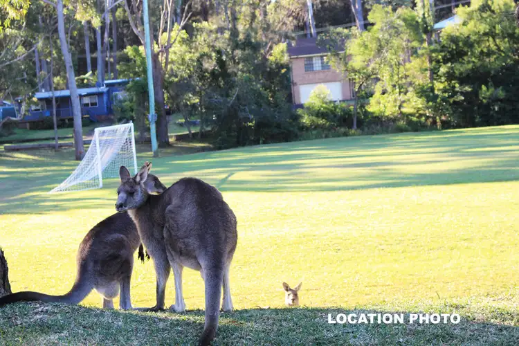 Fifth view of Homely land listing, 8 The Bartizan, Manyana NSW 2539