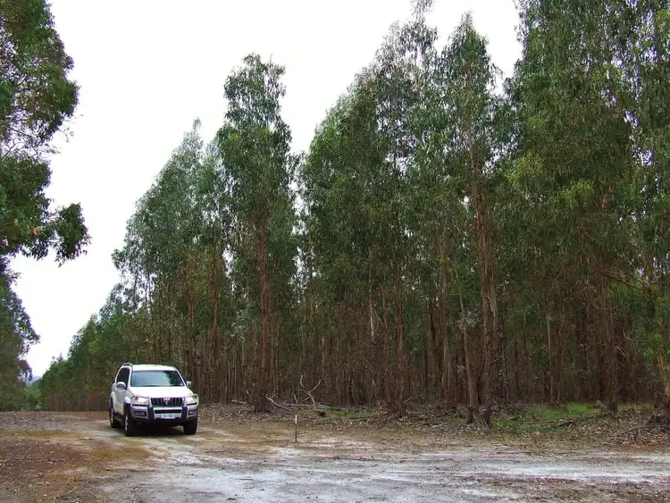 Second view of Homely rural property listing, Lot 73 Chapman Hill Road, Chapman Hill WA 6280