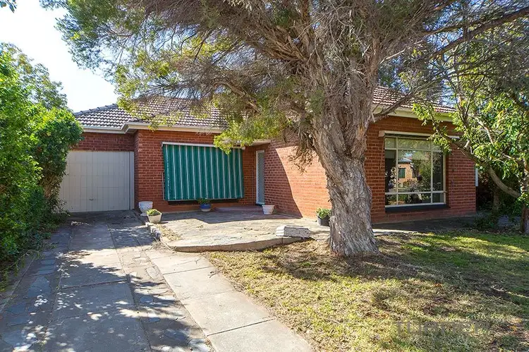 31 Kent Street, South Plympton SA 5038