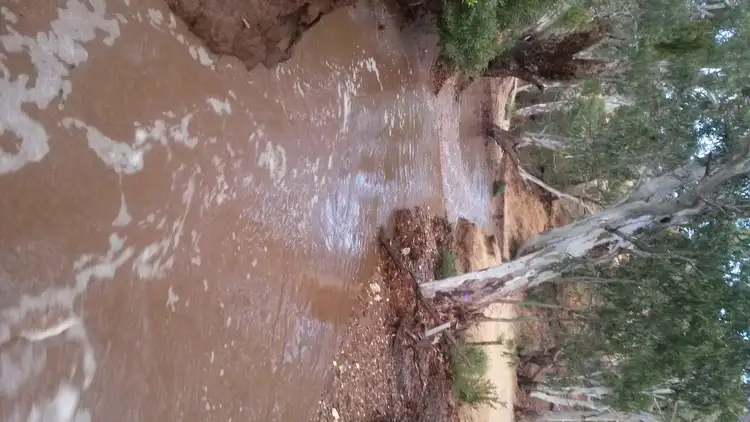 Fifth view of Homely rural property listing, 640 Glenpatrick Road, Elmhurst VIC 3469