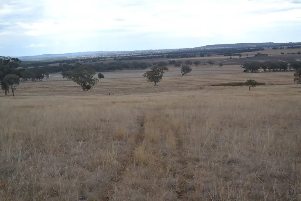 Main view of Homely rural property listing, Address available on request