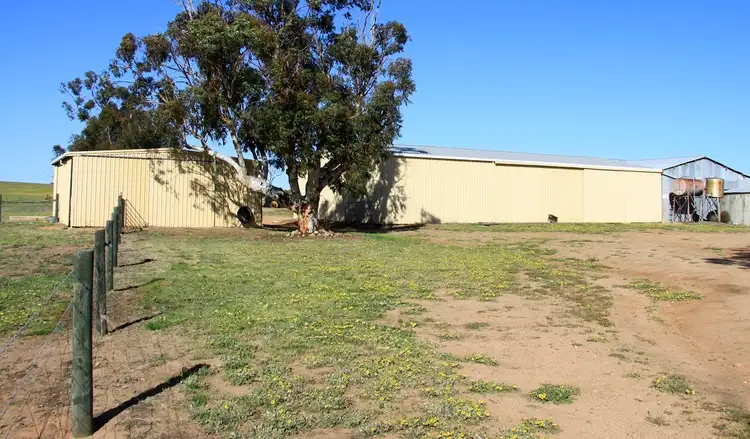 Fifth view of Homely rural property listing, 3929 Calingiri-Goomalling Rd, Goomalling WA 6460