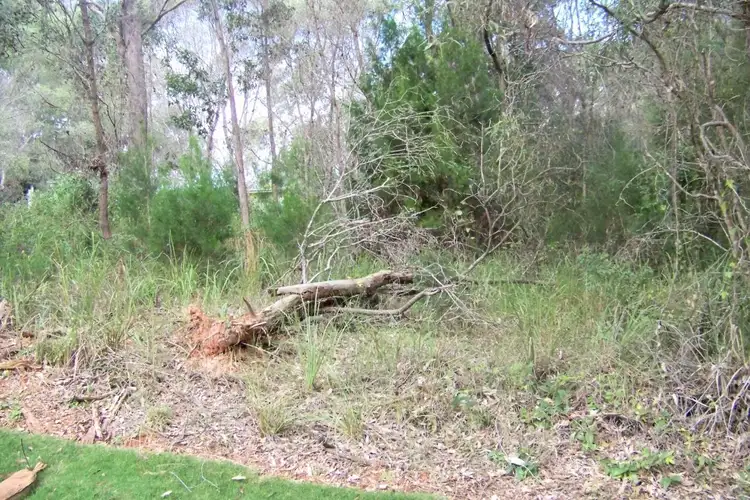 Sixth view of Homely land listing, 27 GOODSELL CRES, Lamb Island QLD 4184