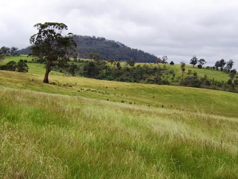 Main view of Homely rural property listing, Lot 1 Huntington Tier Road, Dysart TAS 7030