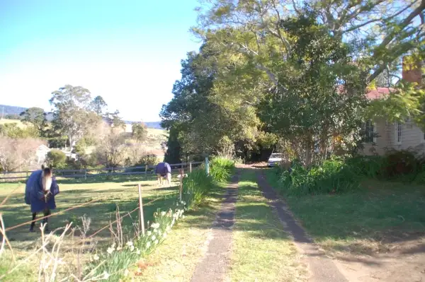 Fourth view of Homely house listing, 41 Churchill Street, Jamberoo NSW 2533