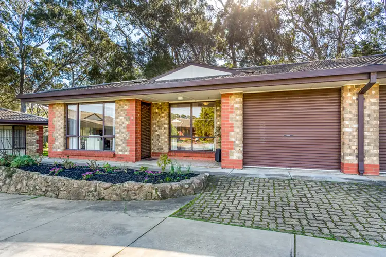 Main view of Homely unit listing, Unit 6, 19 Susan Street, St Agnes SA 5097