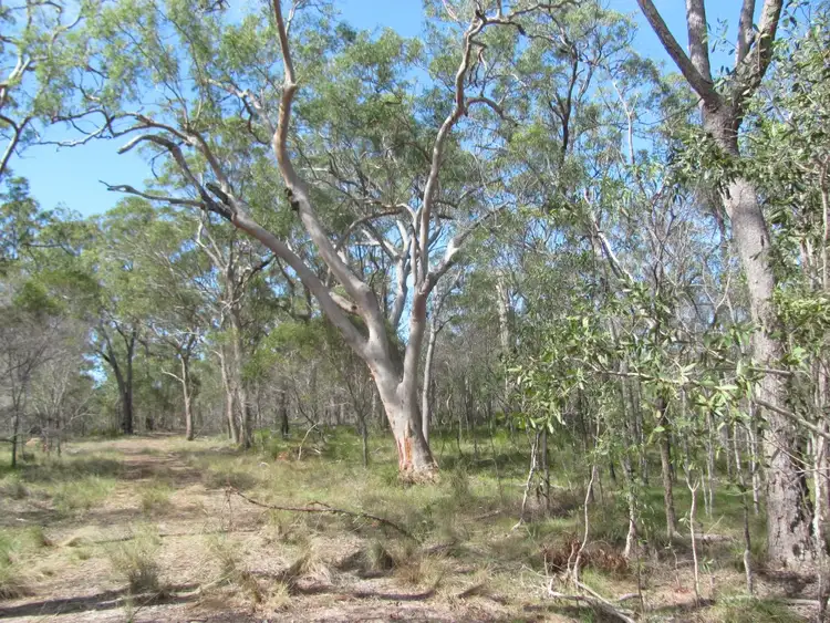 Fourth view of Homely rural property listing, 391 Matchbox Road, Deepwater QLD 4674