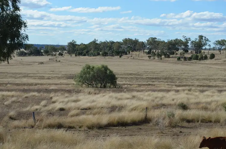 Fourth view of Homely rural property listing, 461 Moran Road, Linthorpe QLD 4356