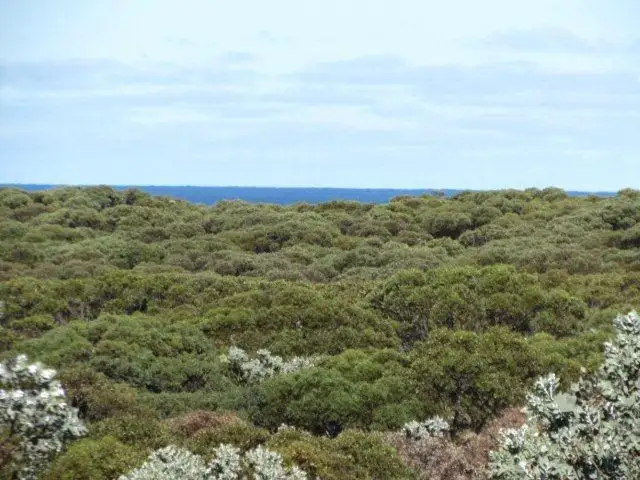 Sixth view of Homely land listing, 74 Seaview Way, Hopetoun WA 6348