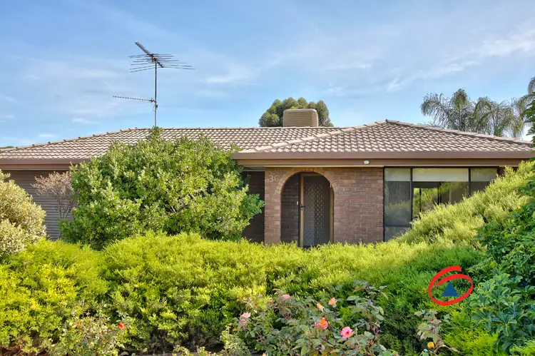 Main view of Homely house listing, 36 Indee Crescent, Craigmore SA 5114
