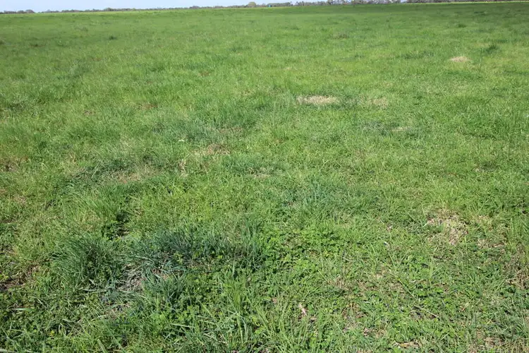 Sixth view of Homely rural property listing, 5 Moyhall Road, Naracoorte SA 5271