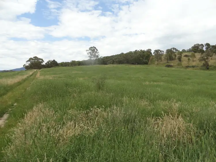 Seventh view of Homely rural property listing, 1306 Larkin Lane South, Upper Gundowring VIC 3691