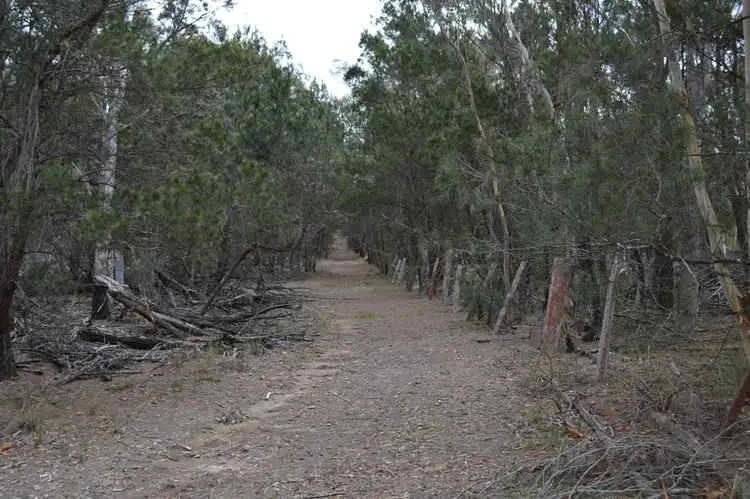 Seventh view of Homely rural property listing, 260 Sturgiss Lane, Tarago NSW 2580