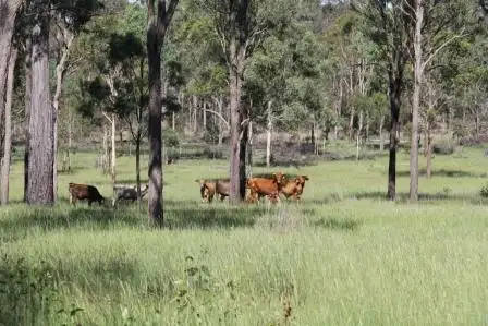 Third view of Homely rural property listing, Address available on request