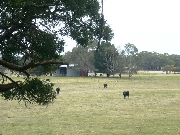Seventh view of Homely rural property listing, - Ironmine Road, Lal Lal VIC 3352