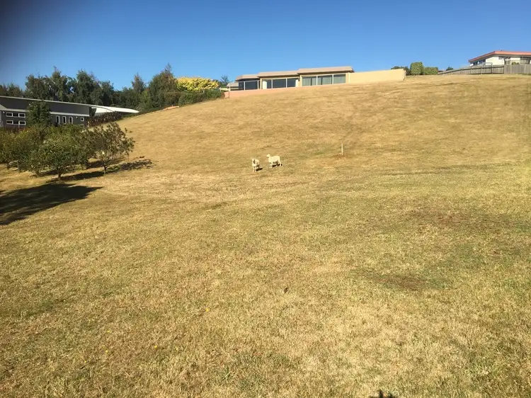 Second view of Homely land listing, 13 Medbury Crescent, Montello TAS 7320