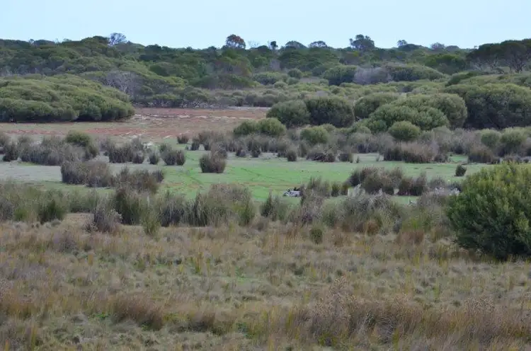 Fifth view of Homely rural property listing, Section 17 Wrights Road, Kingston Se SA 5275