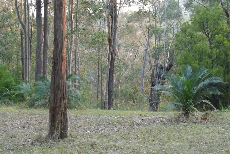 Fifth view of Homely land listing, 14 Burri Palm Way, Surfside NSW 2536