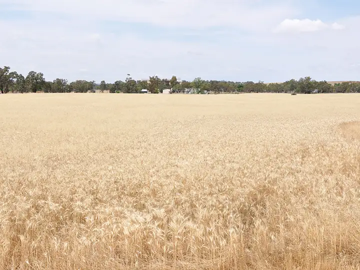 Fifth view of Homely land listing, Lots 155 & 156 Broad Street, Old Junee NSW 2652