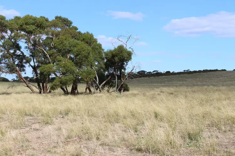 Third view of Homely rural property listing, 1494 GARRA SOUTH ROAD, Parrakie SA 5301