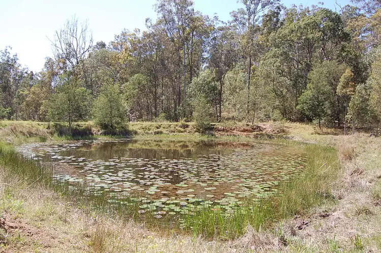 Second view of Homely rural property listing, Hogarth Range Rd, MONGOGARIE via, Casino NSW 2470