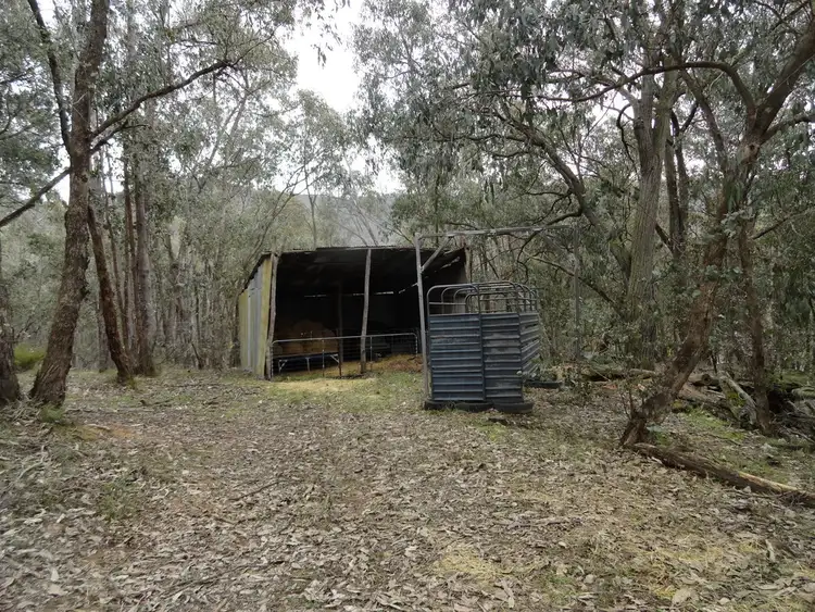 Seventh view of Homely rural property listing, 724 Yenschs Road, Lankeys Creek NSW 2644