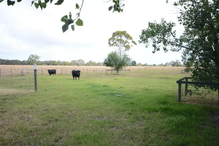 Fourth view of Homely house listing, 845 Romawi Road, Forge Creek VIC 3875