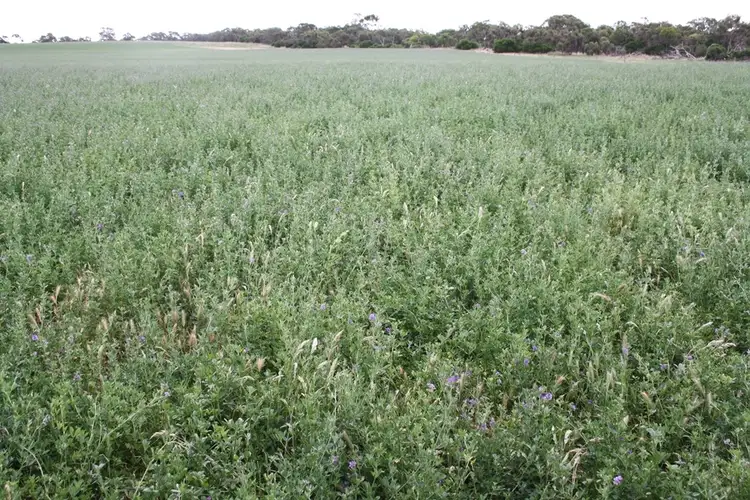 Second view of Homely rural property listing, Section 373 Old Robe Road, Naracoorte SA 5271