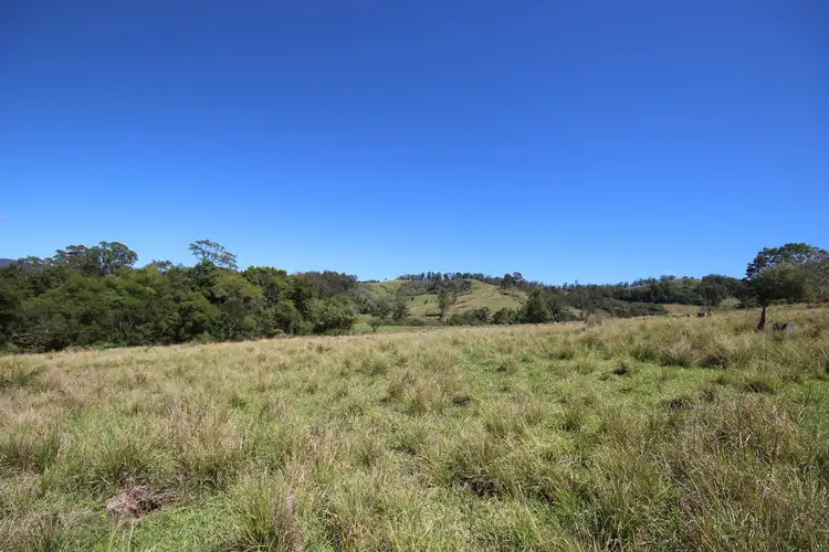 Fifth view of Homely rural property listing, Lot 133 Forbes River Road, Birdwood NSW 2446