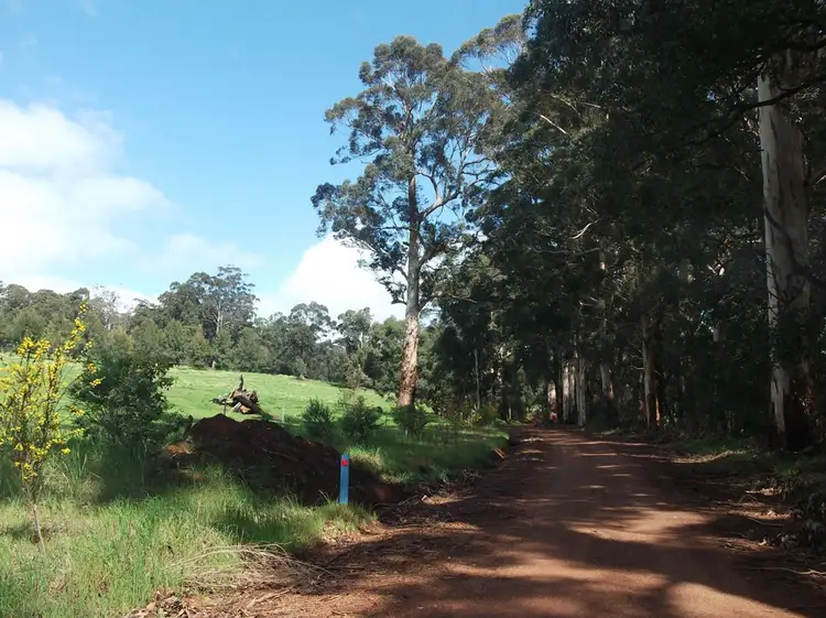 Fourth view of Homely rural property listing, 356 Angels Road, Manjimup WA 6258
