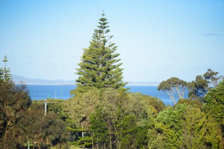 Fifth view of Homely house listing, 4A Fullerton Street, Esperance WA 6450