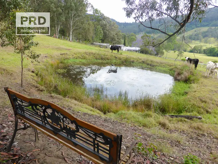 Seventh view of Homely rural property listing, Lot53 Gorge Creek Road, Grevillia, Kyogle NSW 2474